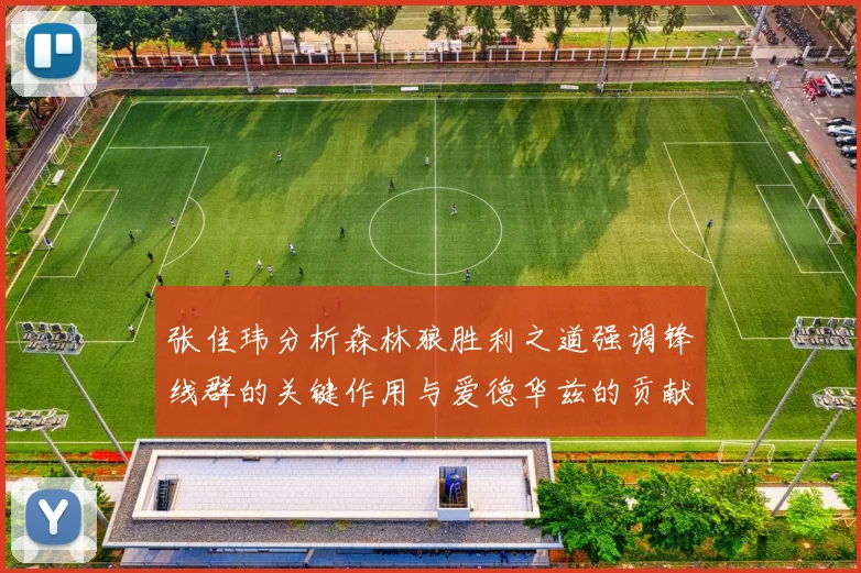 张佳玮分析森林狼胜利之道强调锋线群的关键作用与爱德华兹的贡献