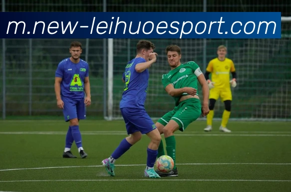 雷火电竞平台生态图